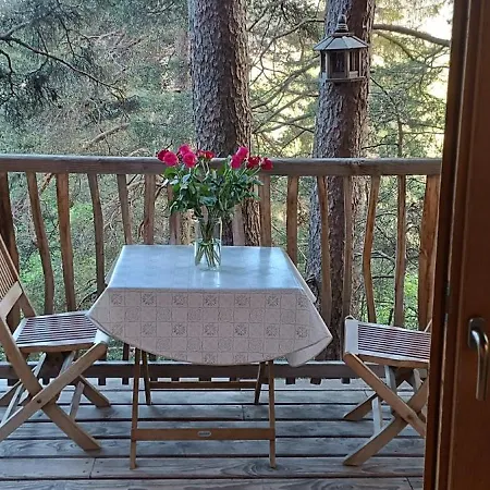 Les Des Pins Sylvestres Lodge