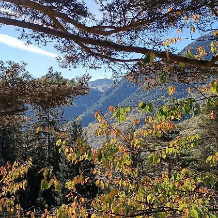 Lodge Les Des Pins Sylvestres Saint-Martin-Vesubie